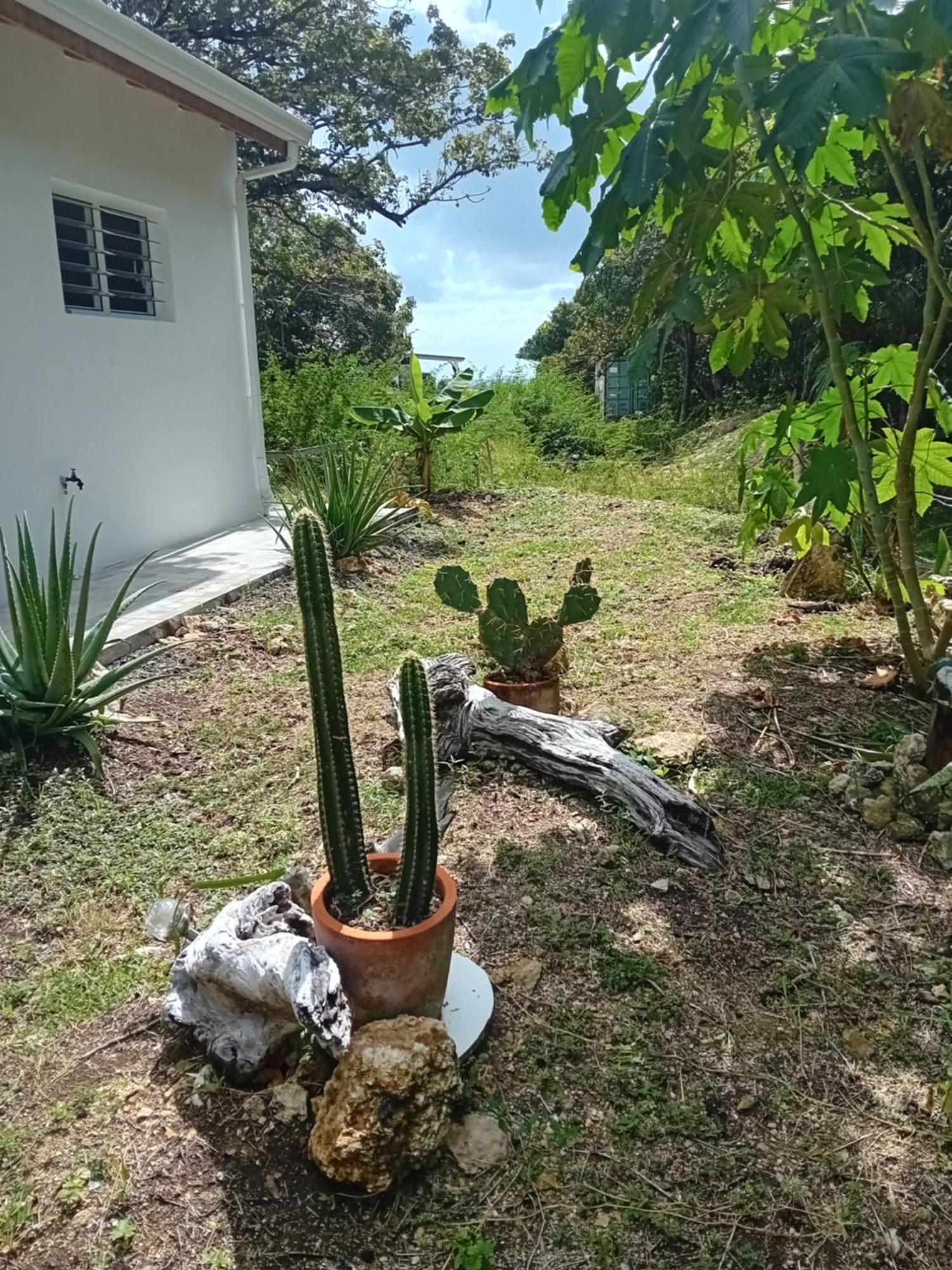 Kazacactus-Villa 3 Chambres Piscine Marie-Galante Beauséjour Exteriör bild